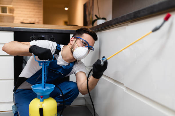 Best Affordable Pest Control Services  in Red Lake, MN