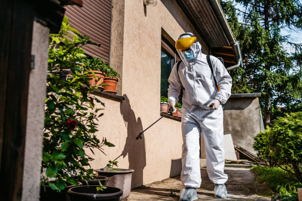 Reliable Red Lake, MN Pest Control Solutions